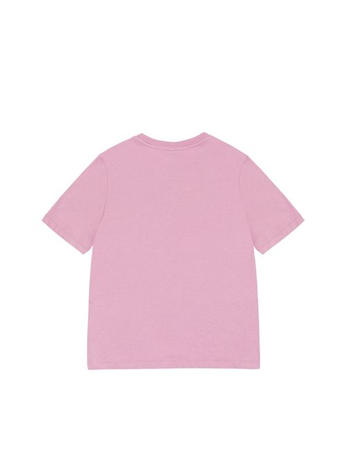 8672-6SH756 ROSA COLMAR | 8672-6SH756 ROSA